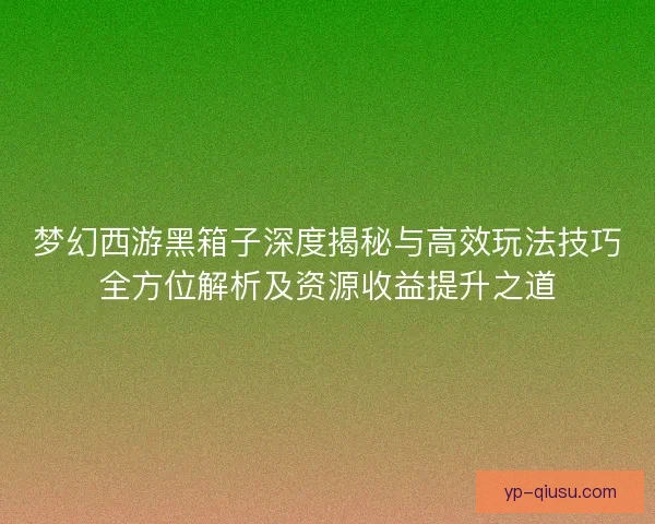 梦幻西游黑箱子深度揭秘与高效玩法技巧全方位解析及资源收益提升之道